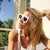 Leila Sunglasses - White - Lobby